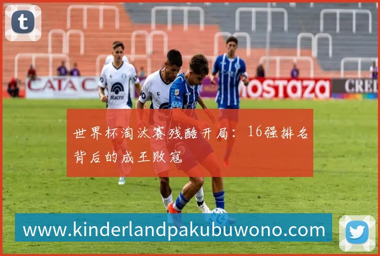 登录器 登录器
