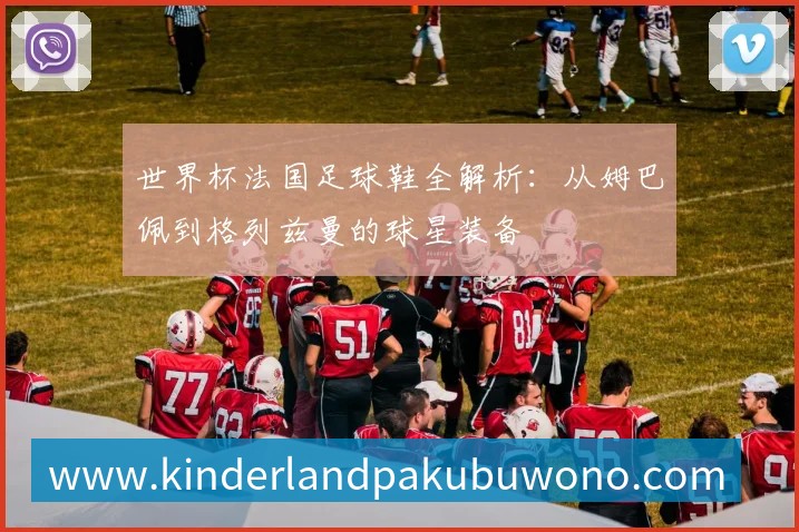 世界杯法国葡萄牙对决：齐达内与菲戈的传奇谢幕之战解析